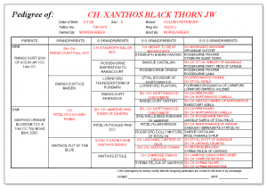Champion Xanthos Blackthorn JW pedigree