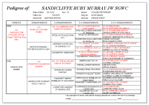 Sandicliffe Ruby Murray JW pedigree
